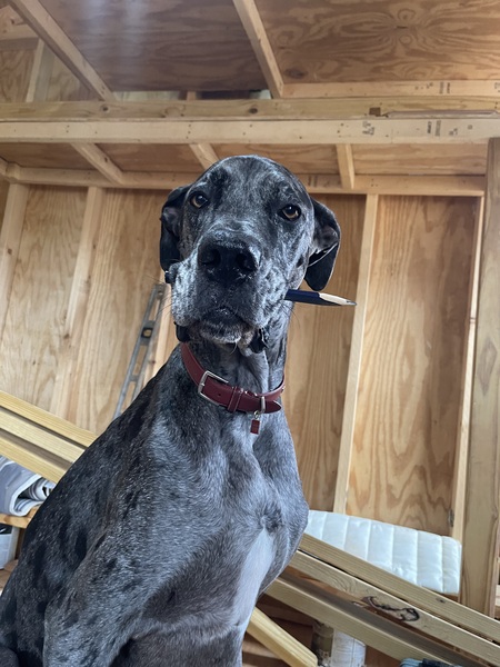 Entry image for Jefferson. Clicking this image will show a larger photo