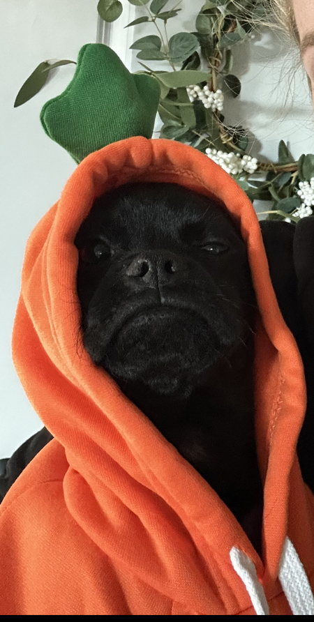 Entry image for Lenny the Chug. Clicking this image will show a larger photo