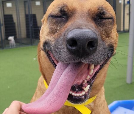 Entry image for Lucky Wilson. Clicking this image will show a larger photo