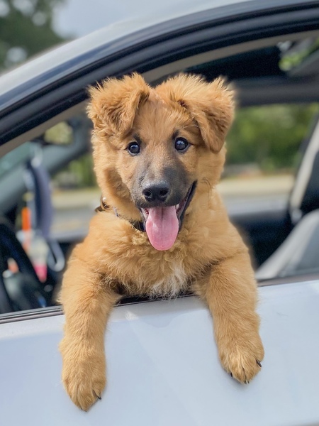 Entry image for Beamer. Clicking this image will show a larger photo