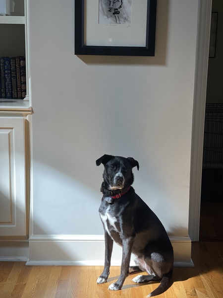 Entry image for Benson. Clicking this image will show a larger photo