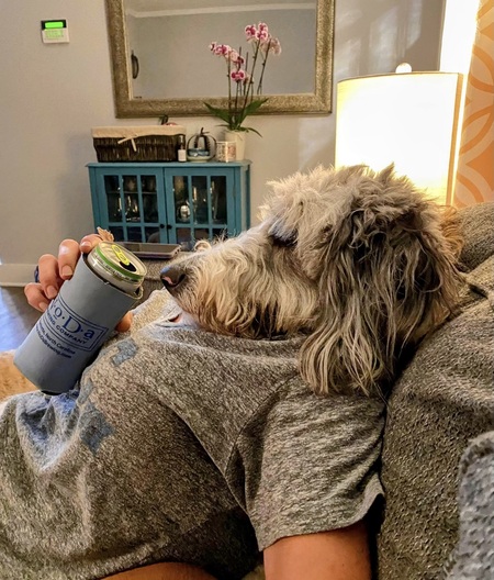 Entry image for Penelope Potter (Penny). Clicking this image will show a larger photo