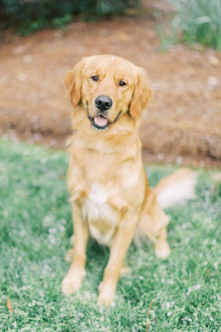 Entry image for Remi. Clicking this image will show a larger photo