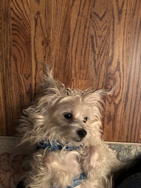 Entry image for Jake. Clicking this image will show a larger photo