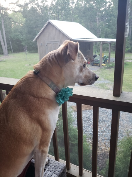 Entry image for Jemma. Clicking this image will show a larger photo