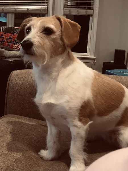 Zoey 