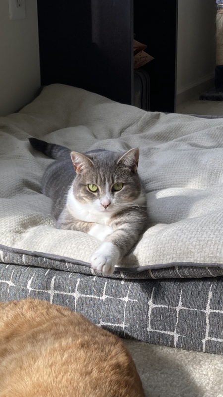 Smudge