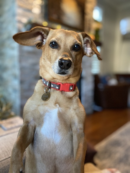 Winnie “Winifred Louise”