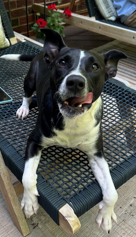 Millie