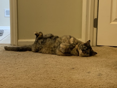 Queenie