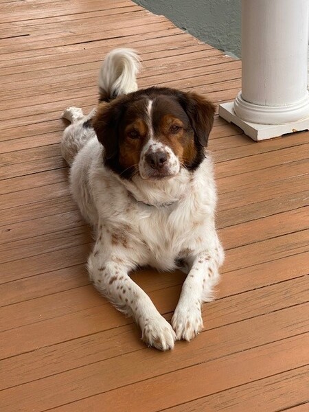 Penny