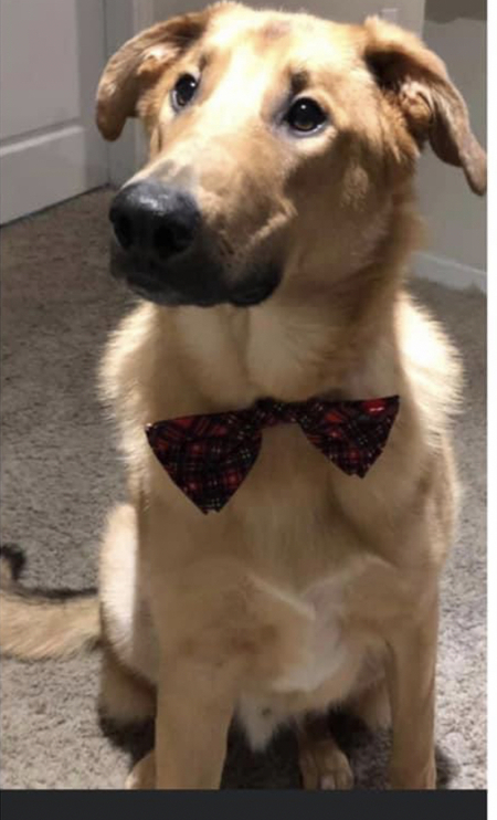 Coco