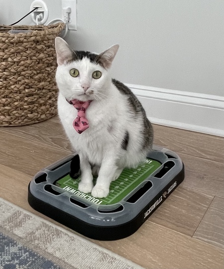 Charles Entertainment Cheese ("Charlie")