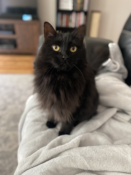 Rosie