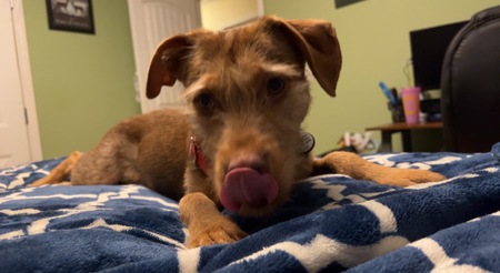 Pixel