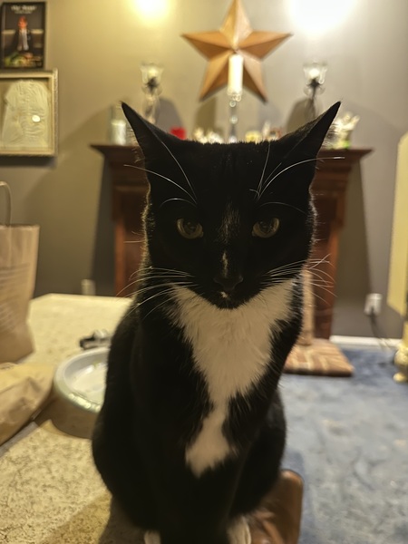 Monty 
