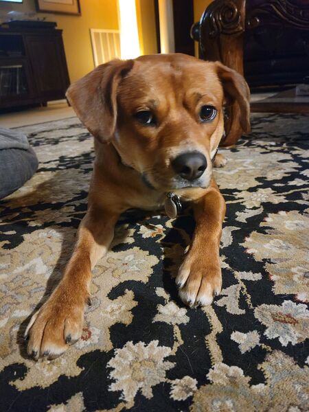 Entry image for Jackson. Clicking this image will show a larger photo