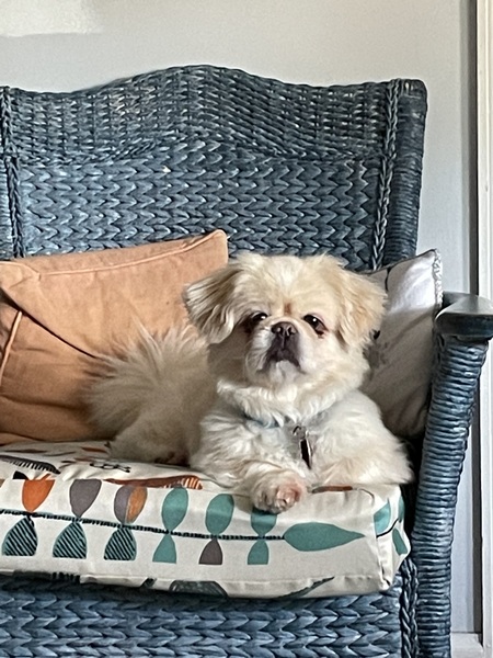 Entry image for Charles. Clicking this image will show a larger photo