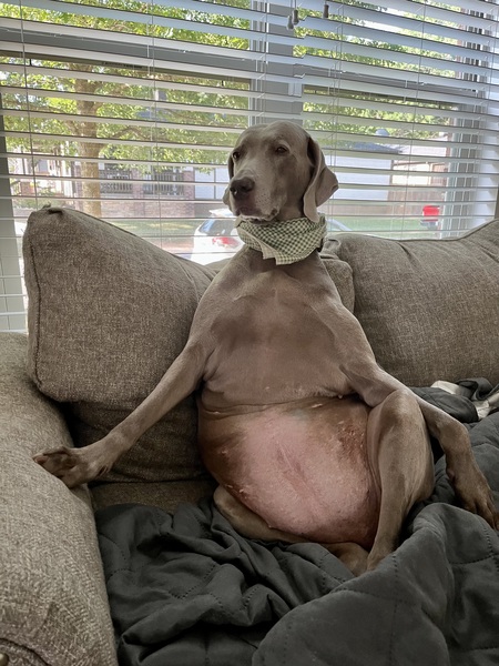 Entry image for Annie. Clicking this image will show a larger photo