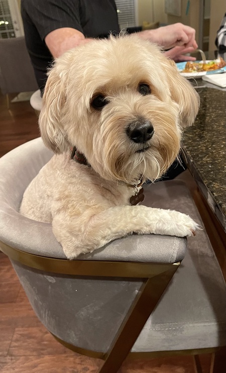 Entry image for Whiskey . Clicking this image will show a larger photo