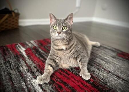 Entry image for Eve. Clicking this image will show a larger photo