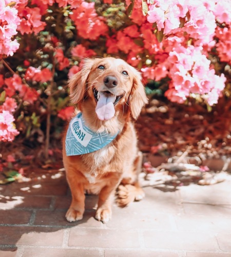 Entry image for Micah Blue. Clicking this image will show a larger photo