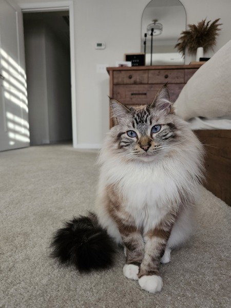 Entry image for Moby. Clicking this image will show a larger photo