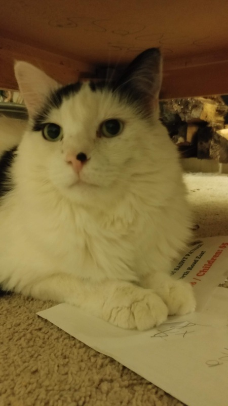 Entry image for Cruisy. Clicking this image will show a larger photo