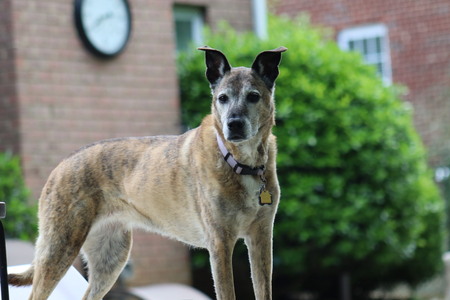 Entry image for Hannah. Clicking this image will show a larger photo