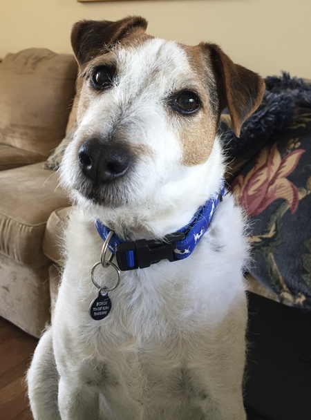 Entry image for Bohdi Butler Jordan. Clicking this image will show a larger photo