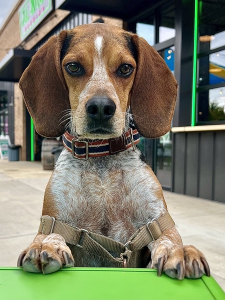 Entry image for Colby. Clicking this image will show a larger photo