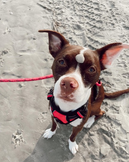 Entry image for Mildred. Clicking this image will show a larger photo