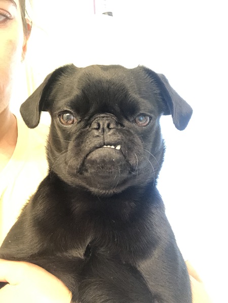 Entry image for Angela. Clicking this image will show a larger photo