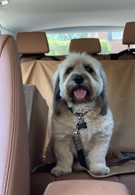 Entry image for George. Clicking this image will show a larger photo