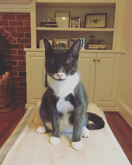 Entry image for Dobe. Clicking this image will show a larger photo