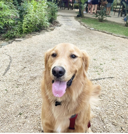 Entry image for Hank. Clicking this image will show a larger photo