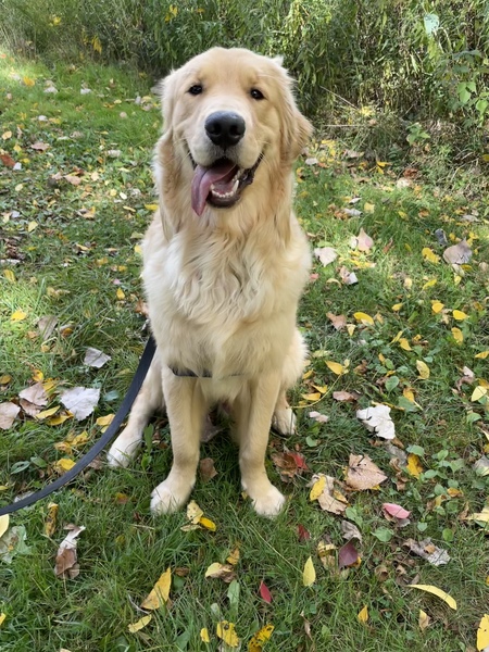 Entry image for Oakley. Clicking this image will show a larger photo