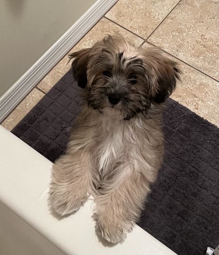 Leo