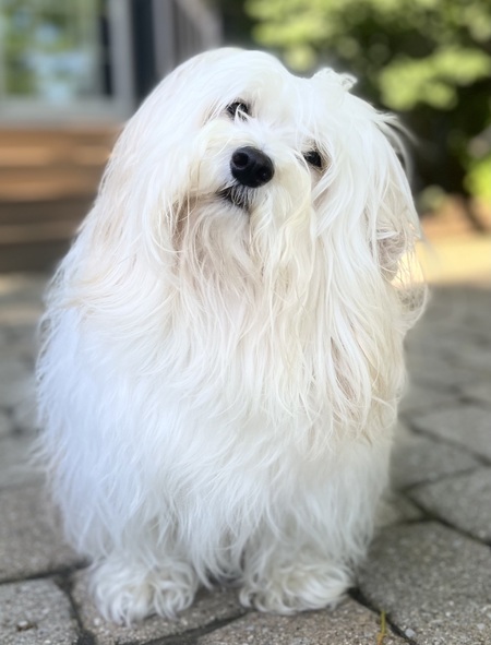 Murfey