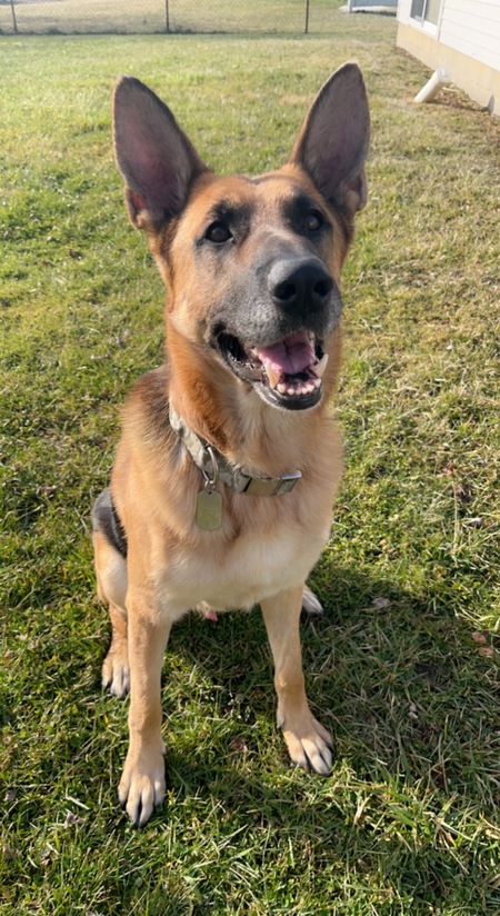 Duke