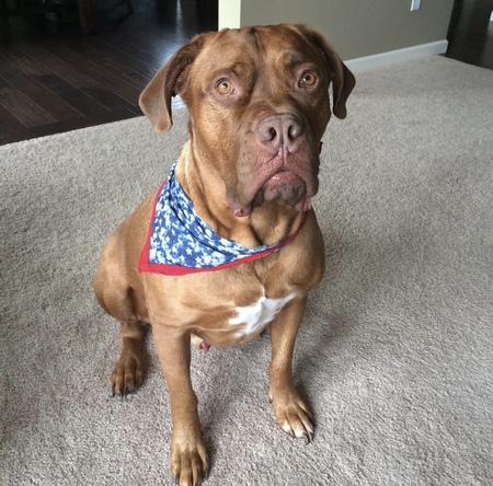 Tyson