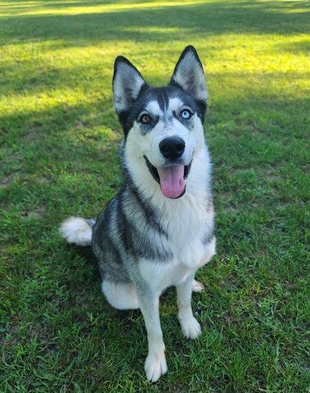 Aiko