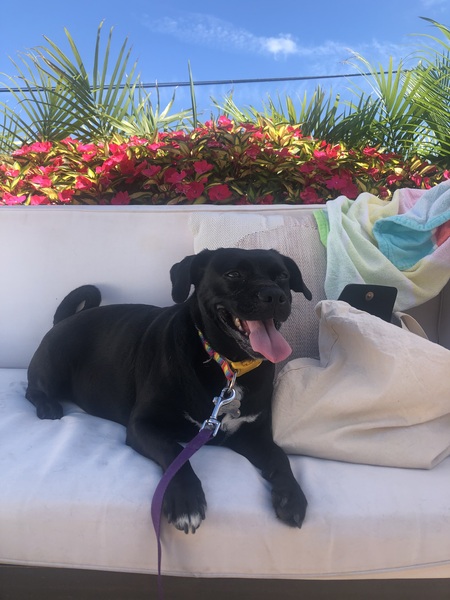 Rosie