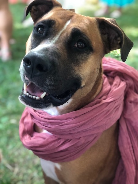Georgia