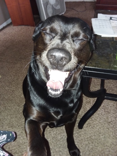 Onyx