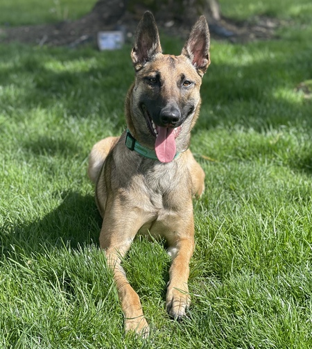 Xena