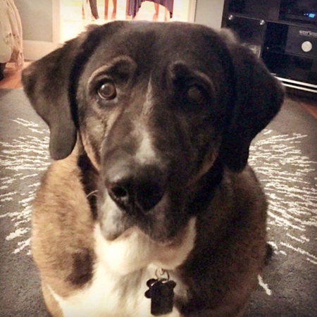 Samson