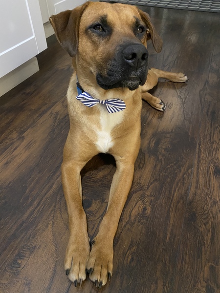 Walter 