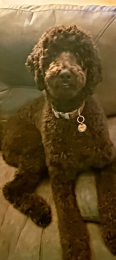 Finnegan