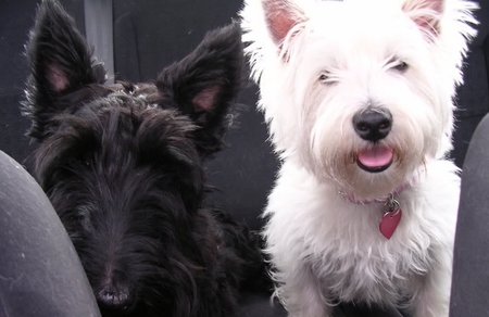Marti (scotty) and Skyy
